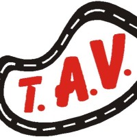 TAV TRANSPORTES